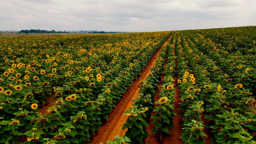 8 Bedroom Property for Sale in Bloemfontein Rural Free State